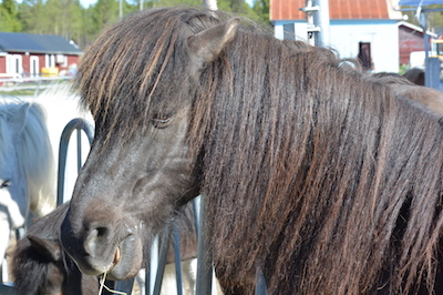 keilir3(400x266)